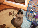 Picture 051