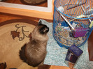 Picture 053