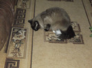 Picture 064