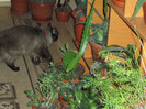 Picture 068