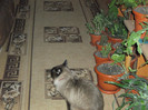Picture 071