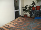 Picture 073