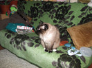 Picture 074