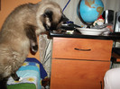 Picture 077