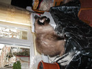 Picture 078