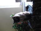 Picture 079