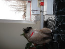 Picture 082