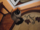 Picture 089
