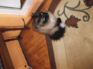 Picture 090