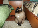 Picture 184