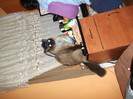 Picture 213