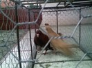 Pic_0513_086