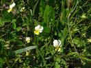 P1320687