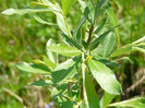 P1320712