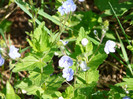 P1320717