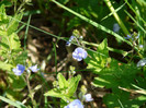 P1320718