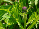 P1320723