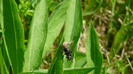 P1320734