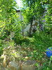 DSC09212
