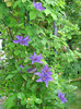 DSC09348