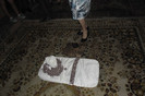 SAM_0543