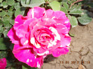 DSCN3079