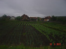 poze 559