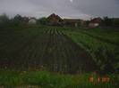 poze 558