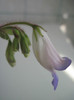 13 mai 2012