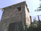 DSC02988