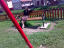 in parc (1)