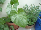 P1110253