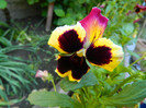 DSCN5064