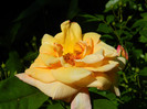 DSCN5069