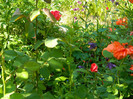 DSCN5073