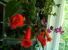 DSCN5134