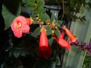 DSCN5136