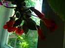 DSCN5138