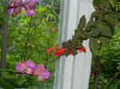 DSCN5159