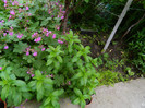DSCN5182