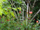 DSCN5202