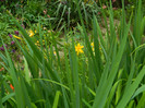 DSCN5241