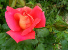 DSCN5256