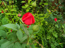 DSCN5257