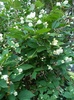 DSCN2496