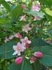 DSCN2499