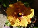 P1130553