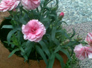 07052012(060)