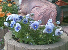 09052012(001)