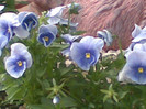 09052012(002)
